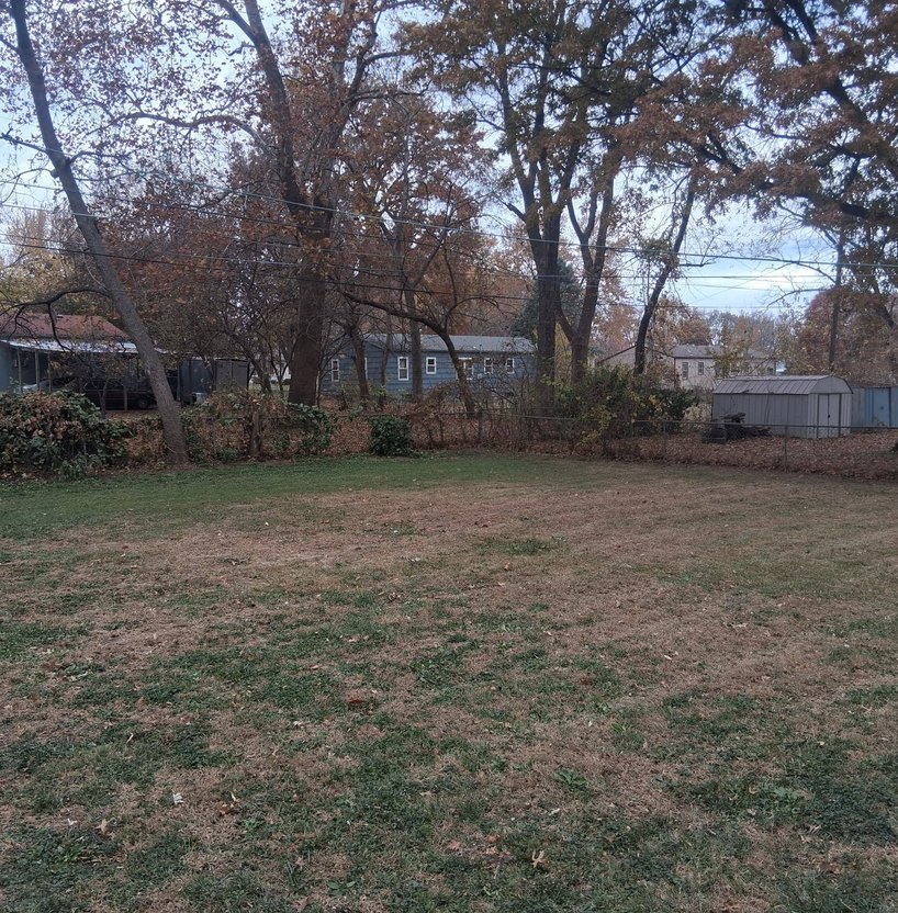 residential lawn cleanup